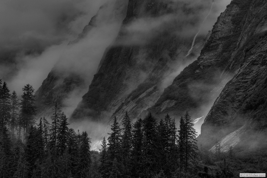 Tracy Arm