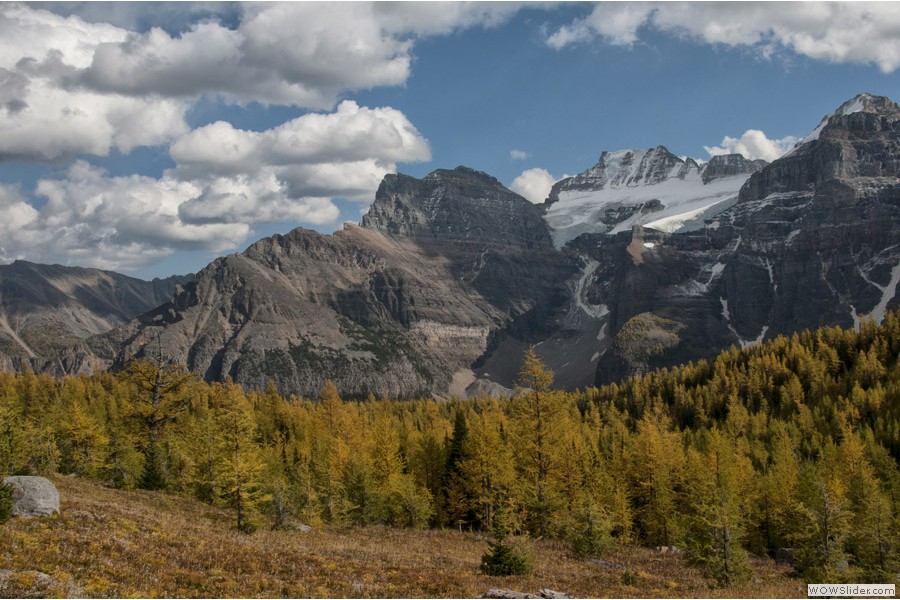 Larch Valley