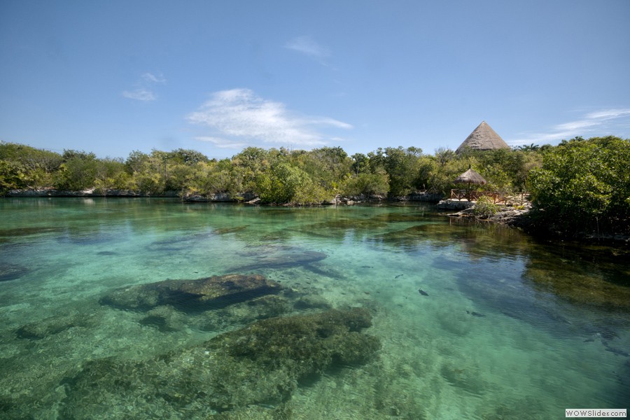 Shel-Ha