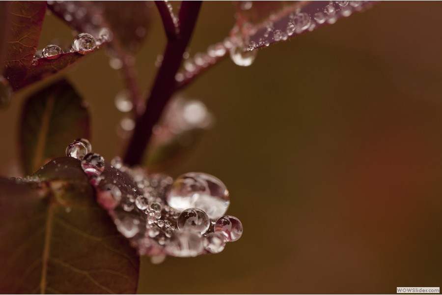Rainy day
