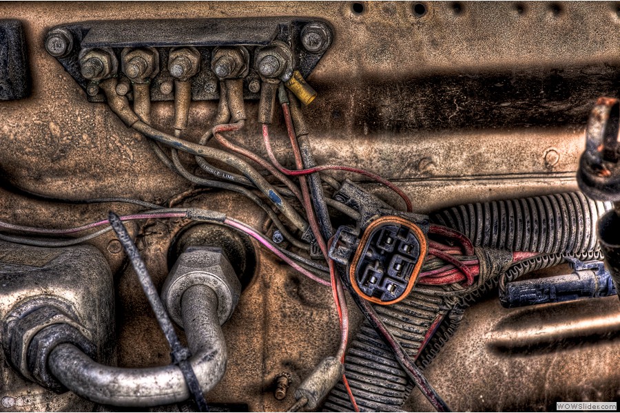 Buck$ Auto Parts